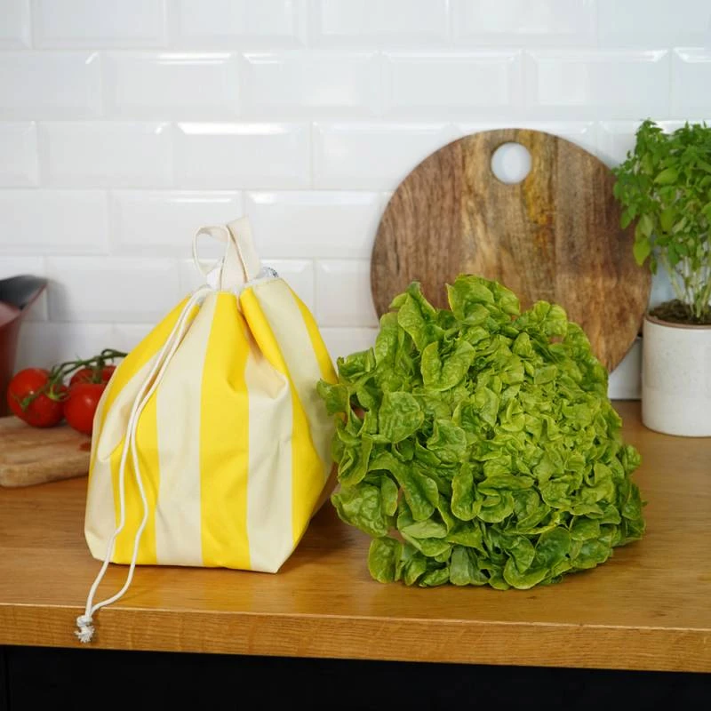 Essoreuse à Salade 6 Essoreuse à Salade – Image 6