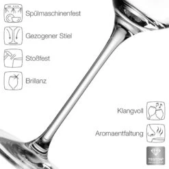 Leonardo Verres à Vin Cheers II (lot De 6) -Ustensiles De Cuisine Magasin 1000263103 230317 033 DETAILS P000000001000263103