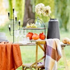 Présentoir à Gâteaux MANGO DAYS 14 Présentoir à Gâteaux MANGO DAYS -Ustensiles De Cuisine Magasin 1000336974 230927 024 MOOD DETAILS P000000001000336974 mood