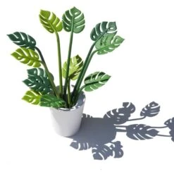 Piques Apéritif Tropical Party -Ustensiles De Cuisine Magasin 171a0ebad32f455392cf2621d05dd6fd