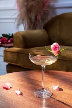 Krosno Harmony Verres à Champagne 16 Krosno Harmony Verres à Champagne -Ustensiles De Cuisine Magasin 3e56227e900949f9ba47fa5397ed060e