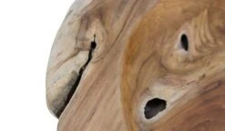 HSM Collection Coupe MY De Fruit My -Ustensiles De Cuisine Magasin 8bcf35eed8da4a28b83df865ce0ea370