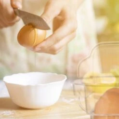 Boîte 12 Oeufs, Réfrigérateur -Ustensiles De Cuisine Magasin a5aafcbac4ff4ab9a77724057fd381bb