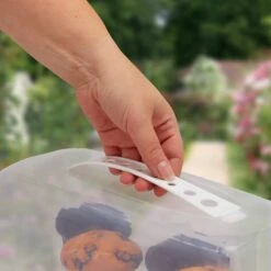 Boîte à Gâteau Rectangulaire -Ustensiles De Cuisine Magasin ab101c13110e42d4a1dd5508fbfe6f43