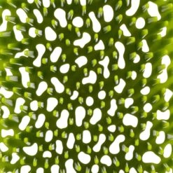 Sèche-biberons 14 Sèche-biberons -Ustensiles De Cuisine Magasin e8fd304b0bac447984f383e9ef4f8888